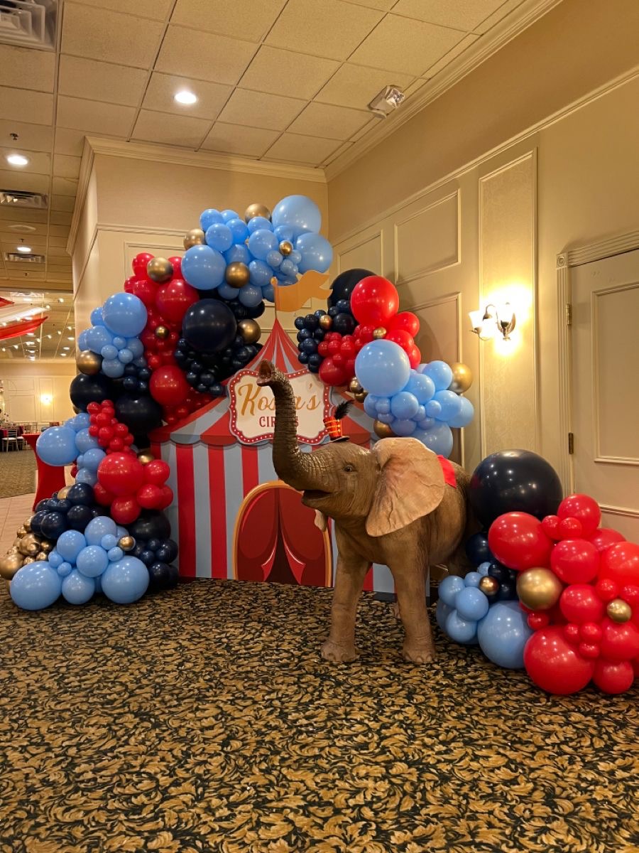Transform Your Space with Circus Decor