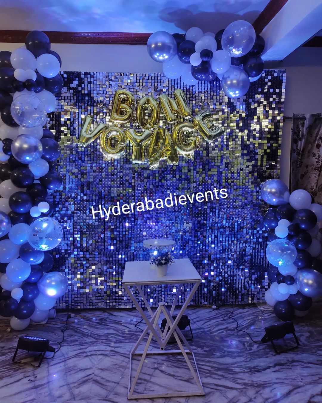 Bon Voyage 8 by 8 Backdrop